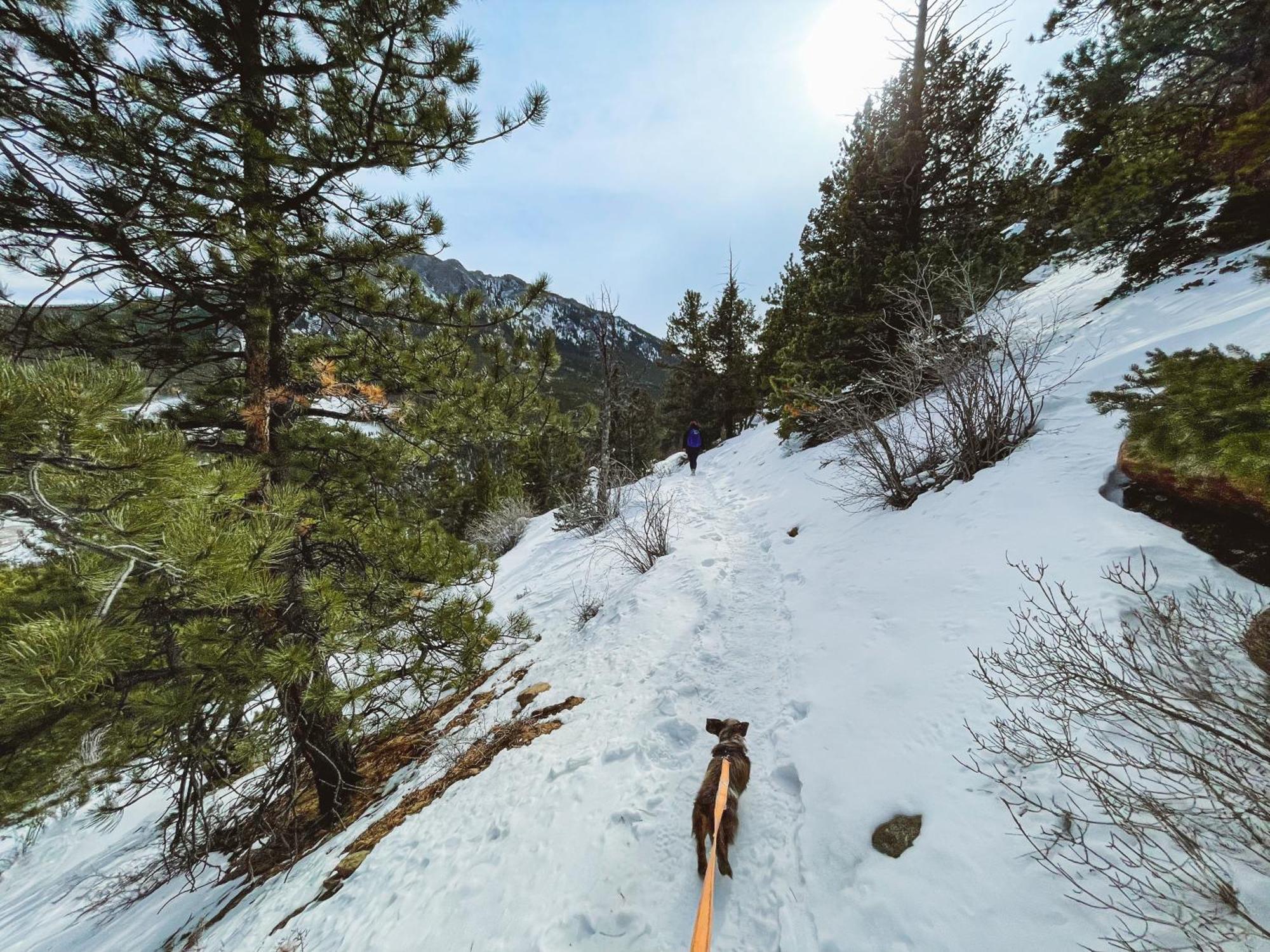 Holiday Inn Estes Park By Ihg Экстерьер фото