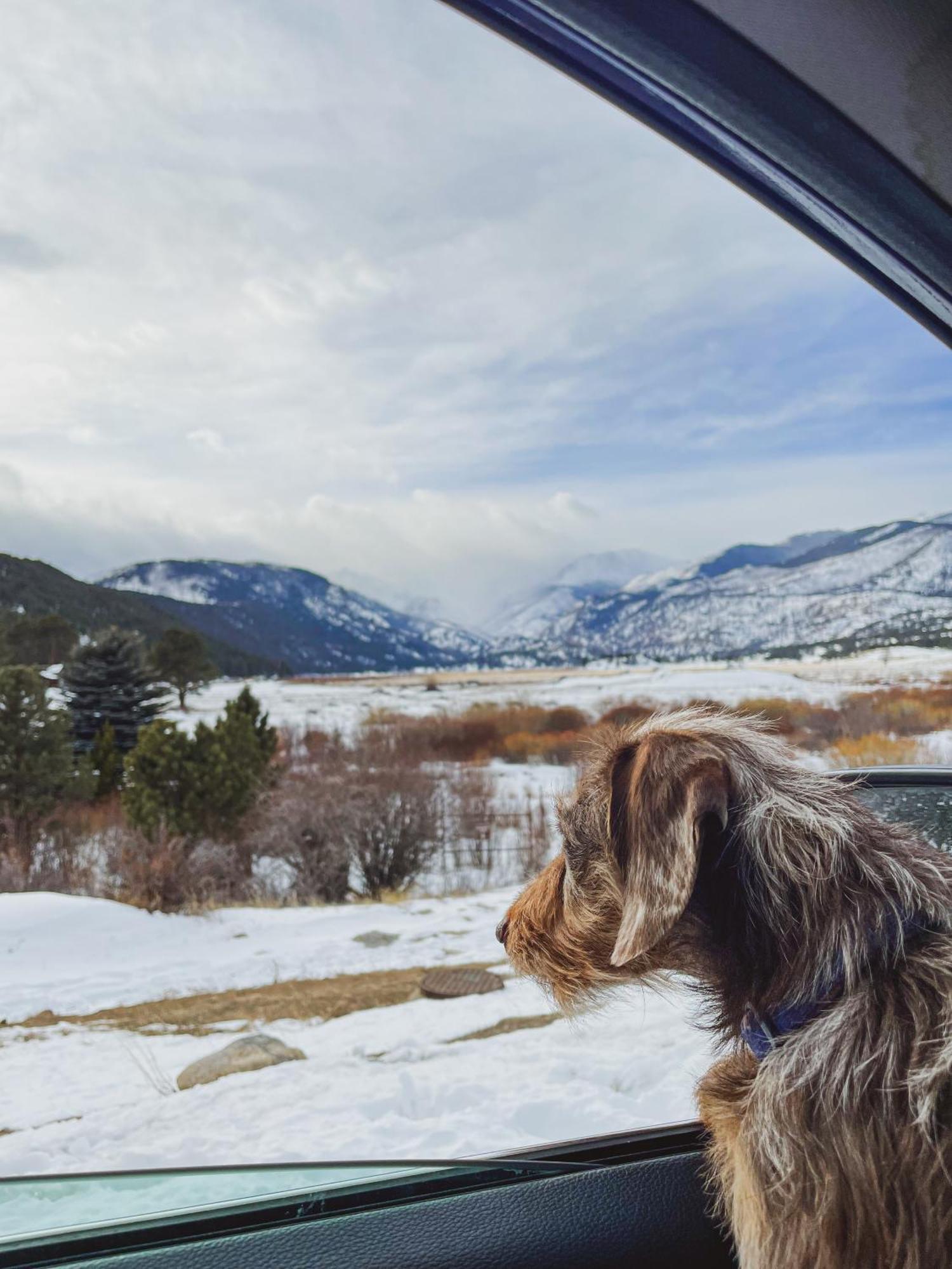 Holiday Inn Estes Park By Ihg Экстерьер фото